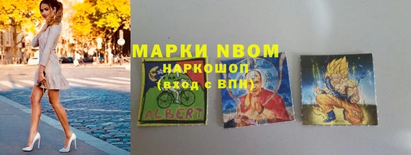 mdpv Бородино