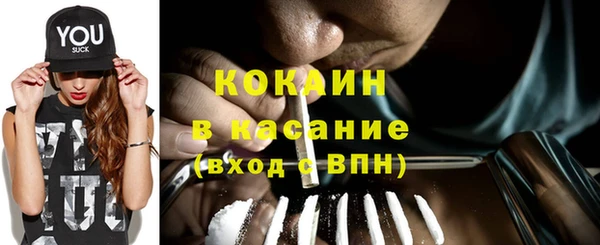 mdpv Бородино