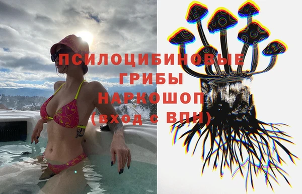 дживик Верхний Тагил
