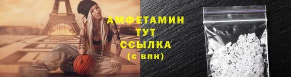 mdpv Бородино