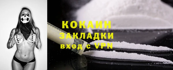 mdpv Бородино