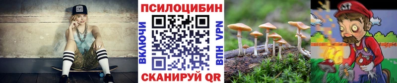 Купить где  Красноармейск  Псилоцибиновые грибы GOLDEN TEACHER 